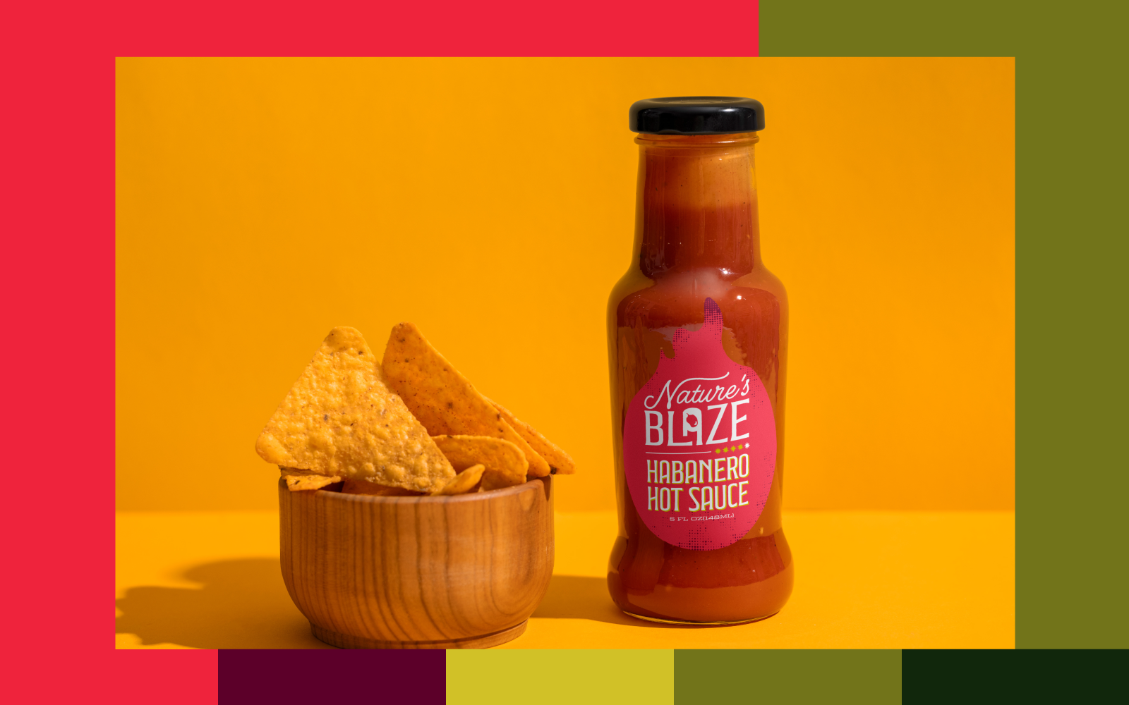 Example of Band Identity   The Starter Package